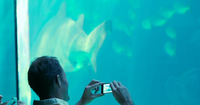 Tourist Photographing Majestic Fish in Aquarium with Smartphone - Download Free Stock Images Pikwizard.com