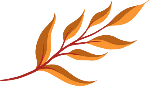 Stylized orange leafy branch on transparent background