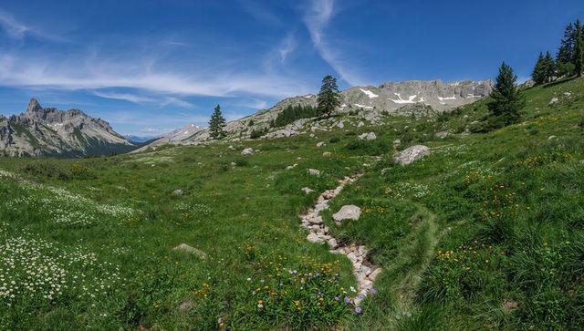 Panoramic alpine meadow trail leading to jagged rocky peaks wildflowers under blue sky