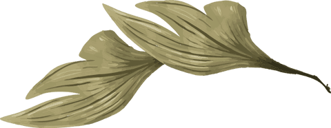 Golden green leaves relaxing sway on transparent background