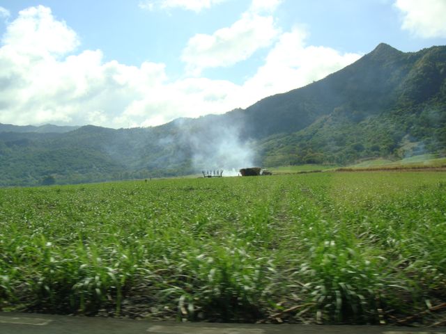 Smoke rising from a crop field in front of a scenic mountain range, with clear blue skies and lush green fields. Ideal for illustrating rural landscapes, agricultural practices, pollution concerns, and environmental topics.