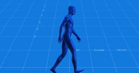 Digital Human Varicose Processing Blue Grid Technology - Download Free Stock Images Pikwizard.com