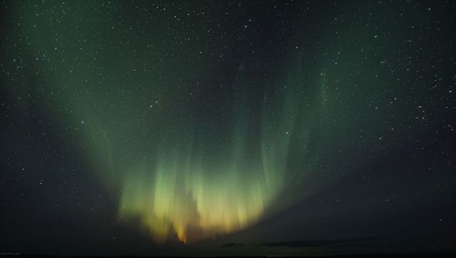 Emerald aurora curtains dancing over dark coastline under vast starry night sky