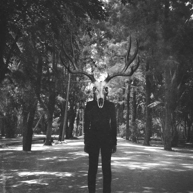 This image portrays a surreal figure wearing a deer skull surrounded by tall trees along a forest path. The black and white filter adds to the mystery and haunting atmosphere. Suitable for projects involving surrealism, mystery, horror themes, and atmospheric artworks.