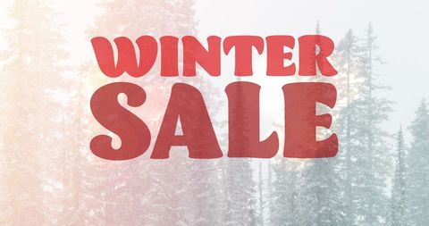 Winter Sale Announcement Over Frosty Forest Background