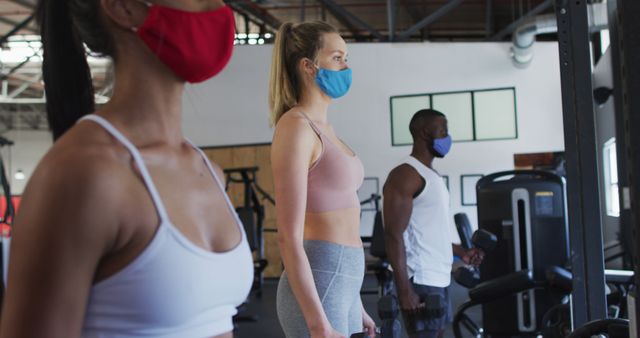 People Exercising at Gym Wearing Face Masks for Safety - Download Free Stock Images Pikwizard.com