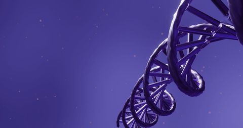 dna strand unwinding against starry purple background - Download Free Stock Images Pikwizard.com