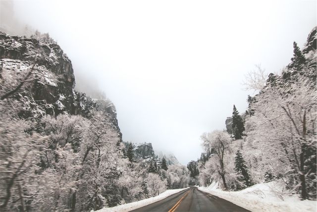 A beautiful scene of a snowy road cutting through a winter forest surrounded by pine trees and cliffs. Dense fog and cloud cover add a mystical feel to the landscape, making it ideal for representing the serene beauty of nature, or promoting travel destinations, winter road trips, and outdoor adventures.