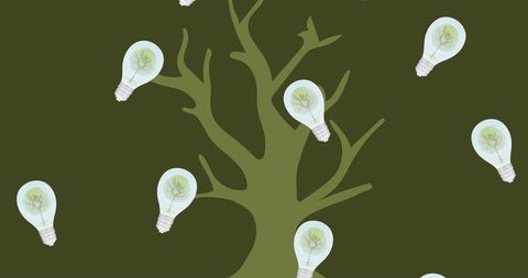 Innovative Green Energy Concept with Light Bulbs and Tree - Download Free Stock Images Pikwizard.com