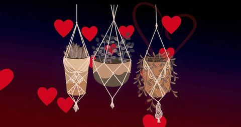 Macrame hanging pots with succulents and hearts