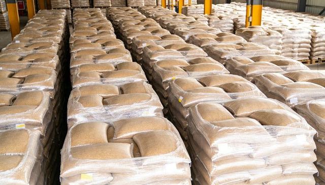 Palletized grain sacks wrapped on wooden pallets creating long organized warehouse aisles
