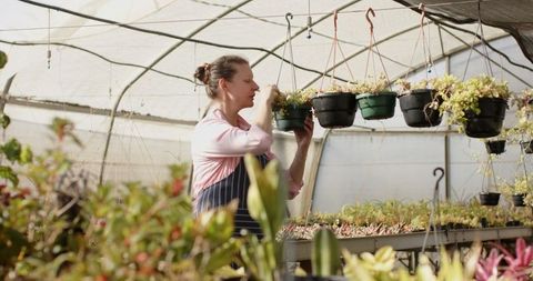 Horticulturist Tending Succulents in Greenhouse