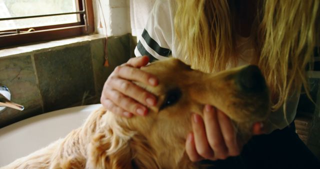Caucasian female teenager washing her big dog with blond hair in bath at home. Domestic life, pets, animals and care.