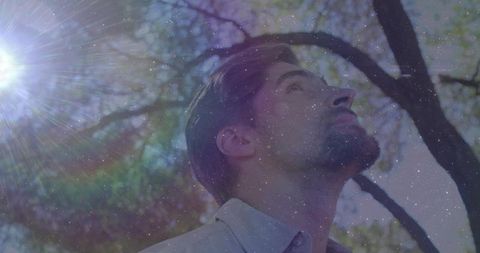 Middle-aged man gazing upward under sunlit tree canopy with lens flare and dreamy bokeh