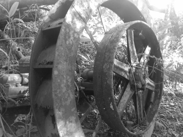 Abandoned, rusted machine parts are overtaken by vegetation in an overgrown forest. This represents themes of nature reclaiming, industrial decay, and historical equipment. Ideal for use in projects involving environmental themes, history, and nature’s power over time.
