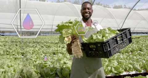 Smiling Farmer Holding Fresh Lettuce in Greenhouse with Digital Icons