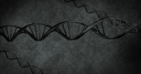 DNA Strands on Dark Background Symbolizing Genetic Research