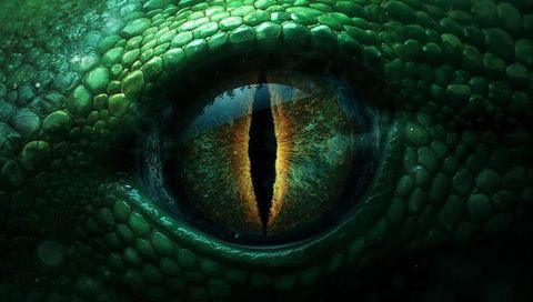 Emerald reptile eye staring closeup with amber vertical pupil and textured scales