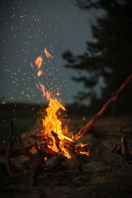 Campfire burning brightly in a forest clearing at dusk with flames and sparks rising. Perfect for depicting outdoor adventures, camping trips, survival skills, wilderness experiences or adding a sense of warmth and cozy ambience.