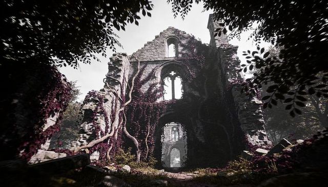 Standing gothic abbey ruins clinging vines twisted roots and arched openings in forest