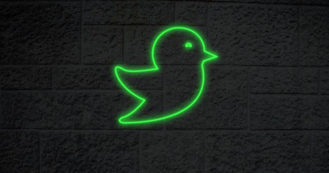 Glowing Neon Bird Icon on Brick Wall for Social Media Concept - Download Free Stock Images Pikwizard.com