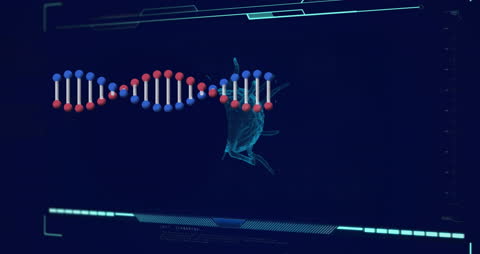 3D DNA Strand with Virus Cell on Black Digital Interface