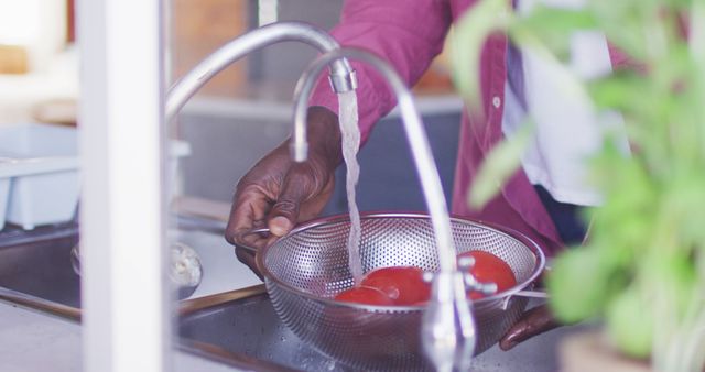 Man Washing Fresh Tomatoes in Kitchen Sink with Running Tap Water - Download Free Stock Images Pikwizard.com