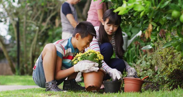 Children Gardening Together Planting Flowers Outdoors - Download Free Stock Images Pikwizard.com