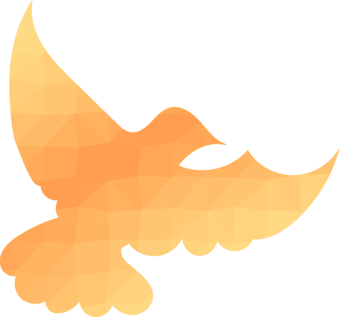transparent geometric orange bird silhouette in flight - Download Free Stock Videos Pikwizard.com