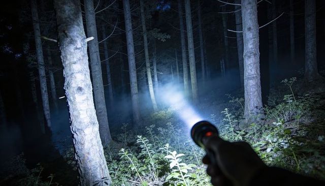 Handheld flashlight cutting blue beam through misty pine forest at night for hiking