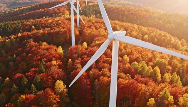 White wind turbine towering over vibrant autumn forest in golden sunset light