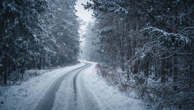 Winding snow-covered road leading through misty conifer forest with icy tire tracks