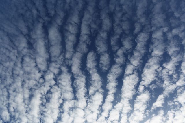 Beautiful cirrocumulus clouds in a clear sky showcasing a unique pattern. Ideal background for nature themes, weather-related articles, and environmental topics. Perfect for creating serene, natural backgrounds or emphasizing the beauty of the natural world.