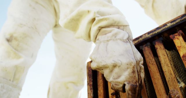 Beekeeper Handling Honey Comb Frame in Protective Gear - Download Free Stock Images Pikwizard.com