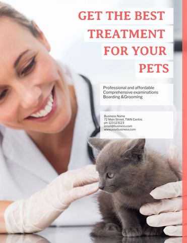 Caring Veterinarian Examining Kitten for Pet Care Promotions - Download Free Stock Templates Pikwizard.com