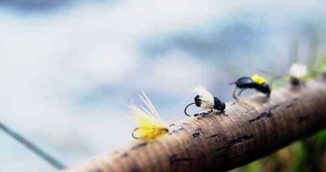 Detailed close-up of colorful fishing flies attached to a fishing rod, used for fly fishing. The background shows parts of nature, most likely near a river or lake. The image can be used for topics related to angling, outdoor hobbies, or fishing gear advertisements.