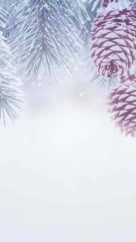 Swaying Frosty Pine Limbs with Two Cones Drifting Snow Vertical Winter Video