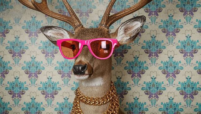 Taxidermy Deer Wearing Pink Sunglasses and Gold Chains Against Teal Purple Damask Backdrop