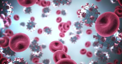 Coronavirus Particles with Red Blood Cells Flowing in Vein - Download Free Stock Images Pikwizard.com