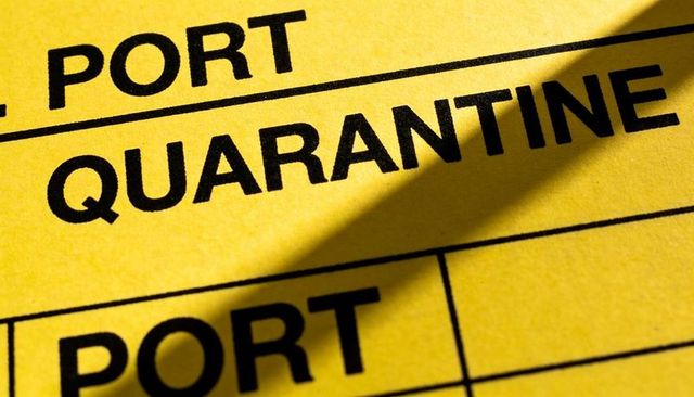Yellow quarantine form close-up showing bold quarantine text port and diagonal shadow
