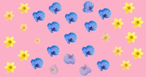 Vibrant Floral Pattern with Blue and Yellow Flowers on Pink
