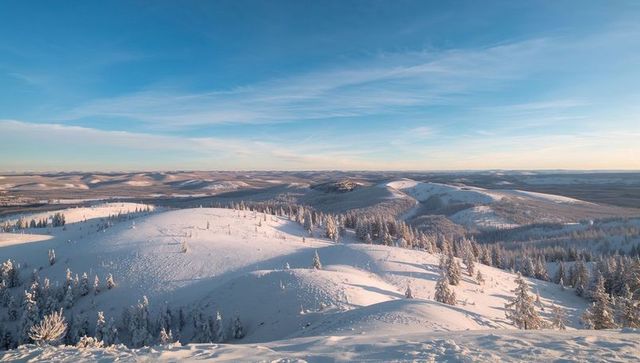 Sunrise Basking Snowy Highland: Glowing Hills, Frosted Evergreens, Long Shadows