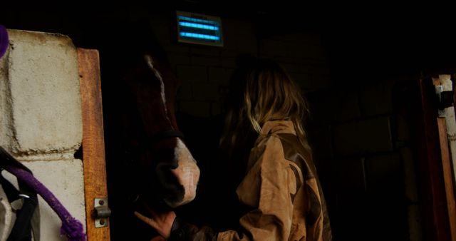 Woman Caring for Horse in Dark Stable - Download Free Stock Images Pikwizard.com
