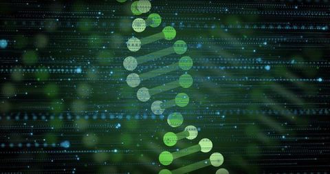 Glowing green dna helix spiraling in digital display for genomics biotech data visualization