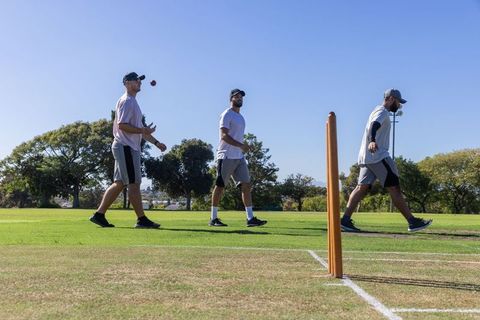 Teammates walking on cricket pitch tossing red ball near wooden stumps on sunny field