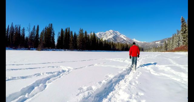 Man Walking in Winter Landscape with Snow and Mountains - Download Free Stock Images Pikwizard.com