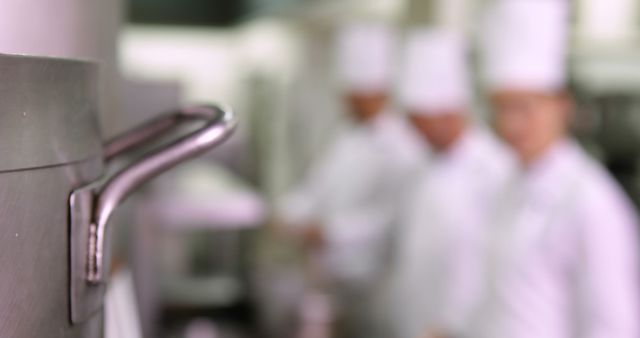 Defocused Chefs Working in Professional Kitchen - Download Free Stock Images Pikwizard.com