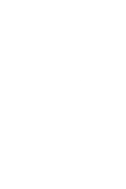 Woman Raising Arms in Victory on Transparent Background - Download Free Stock Videos Pikwizard.com