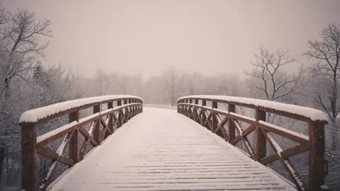 Slow push approaching snow-covered wooden footbridge through foggy winter forest