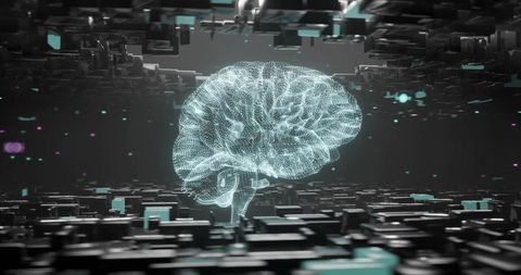 Digital Brain Model Illustrating Neural Network Connectivity - Download Free Stock Images Pikwizard.com
